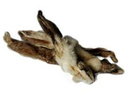 Balto Przysmak Dla Psa Ucho Królicze z Futrem 500g