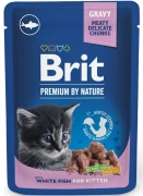 Brit Kitten Karma Dla Kota Juniora Ryba 100g