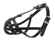 Dino Kaganiec Dla Psa Skórzany Nitowany 3 Ratlerek