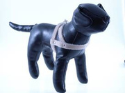 Szelki Skóra Nr 6/70 Natura