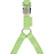 Zolux Szelki Mac Leather 10mm Seledyn