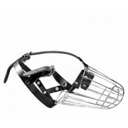 Dino Kaganiec Metalowy "4A" Collie